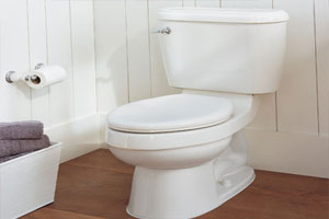 A chinese lion statue