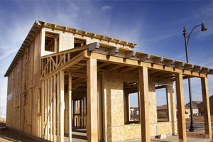 A chinese lion statue