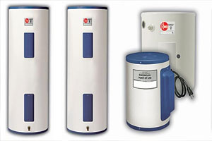 A chinese lion statue